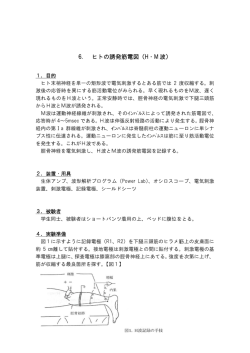 6. ヒトの誘 誘発筋電図 図（H・M 波）