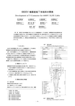 6600V 機器直結 T 形端末の開発