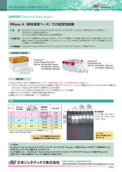 RNase A（単体溶液ベース）での安定性試験/日本語
