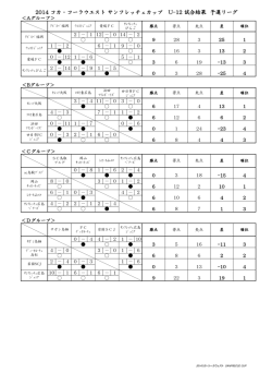 2014 コカ・コーラウエスト サンフレッチェカップ U-12