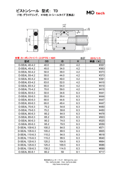 ピストンシール 型式：TD （グライドリング、D