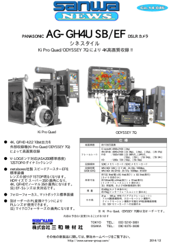 PANASONIC AG-GH4U SB/EF DSLR カメラ