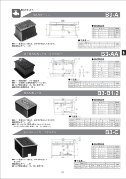 B3-A B3-B1,2 B3-AA B3-C
