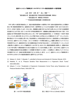 温度キャンセリング機構を持つ AA-PSP の 1.27m 極
