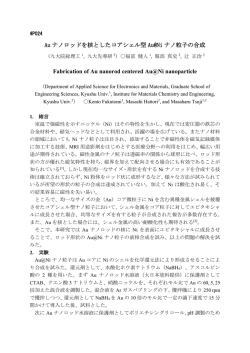 Au ナノロッドを核としたコアシェル型 Au@Ni ナノ粒子の合成 Fabrication