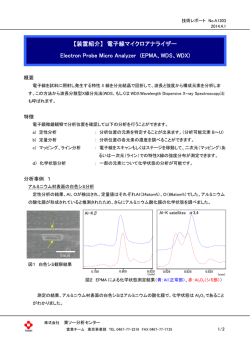 電子線マイクロアナライザー - 株式会社東ソー分析センター