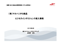 （株）マルハニチロ食品 ビジネスインテリジェンス導入事例