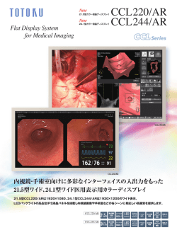 2メガ21.5インチカラー CCL220/AR 2.3メガ24.1インチ