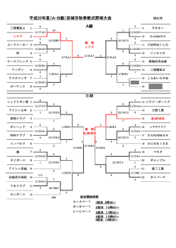 平成25年度（A・B級）安城市秋季軟式野球大会 A級 B級