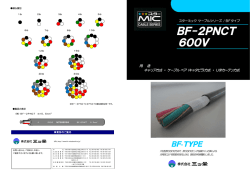 BF-2PNCT（日本語版）