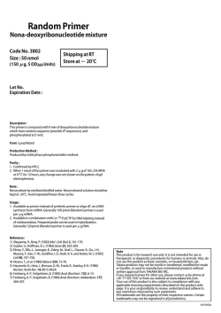 Random Primer Nona-deoxyribonucleotide mixture