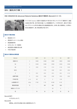BN（窒化ホウ素 ）