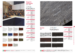 Kindei Koguchi&middot; Nichogake