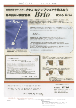 Brio（ブリオ）金管楽器用 きれいなアンブシュアを作る練習器具