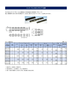 エコノミーチェンBSピッチタイプ寸法表