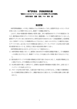 専門評価会 評価結果報告書