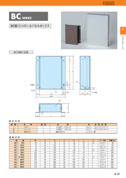 BC型コントロールパネルボックス