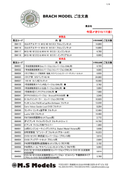 1.ブラチモデル注文書(PDF)