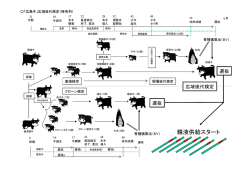 13-1（資料）検定の流れ(98KB)(PDF文書)