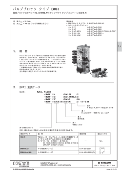 バルブブロック タイプ BVH