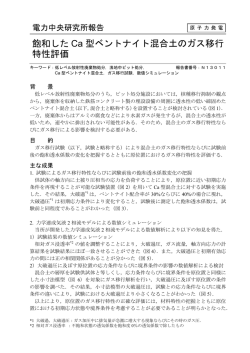 飽和した Ca 型ベントナイト混合土のガス移行 特性評価