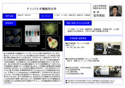 ナノ/バイオ機能性化学 並河英紀