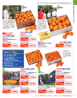 おトクなフルーツ ズバリ！価格 ズバリ！価格 ズバリ！価格 ズバリ！価格