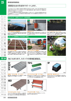 DV WV SV SK WGR BL BT TSP-G RP