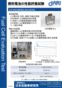F uel C C ell E E valuuationn Tes st