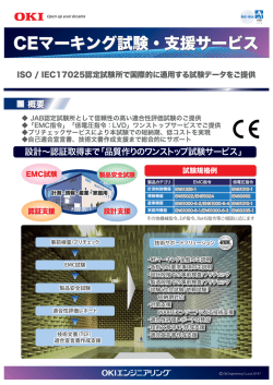 CEマーキング試験・支援サービス（PDFファイル 445KB）