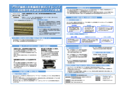 資料ダウンロード（567.2KB）