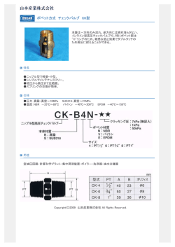 ポペット方式 チェックバルブ CK型