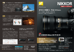 AF-S NIKKOR 300mm f/4E PF ED VR