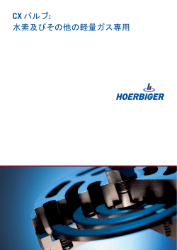 CXバルブ - Hoerbiger