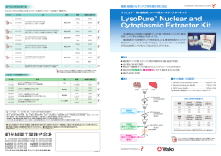 LysoPure&trade; Nuclear and Cytoplasmic Extractor Kit