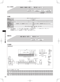 48 タイミングベルト駆動 ［寸法図］ ［軸形式］ BE 50 G &minus; BT &minus; L 19 N