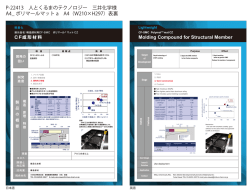 ポリマールマットCZ