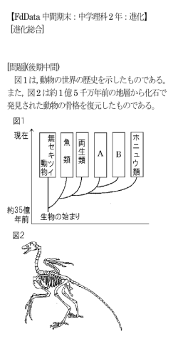 FdData中間期末：中学理科2年：進化