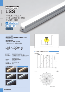 LSS - 1000 - N - FKK Corporation