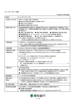 ニューオートローンDX商品概要説明書