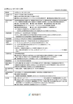 ニューオートローンDX商品概要説明書