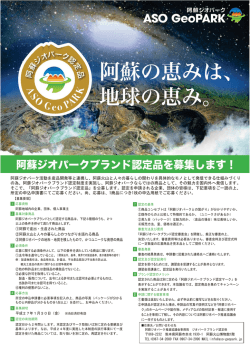 募集チラシ[PDF:876KB]