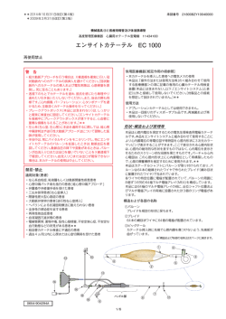 エンサイトカテーテル EC 1000