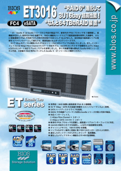 HIGH SPEED REBUILD MEDIA SCANNING &rdquo; ET &rdquo; Excella
