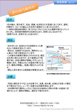 眼科 救急疾患説明パンフレット（PDF形式）