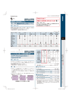 ES / iPS 細胞研究用化合物カクテル mirPS Electroporation