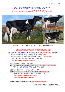 「エツセンス」 EX-95