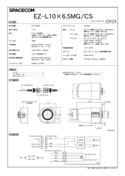 EZ-L10&times;6.5MG/CS