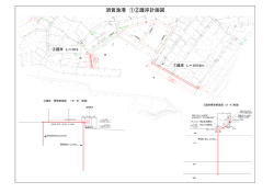 西側排水機能強化・護岸（PDF782KB）