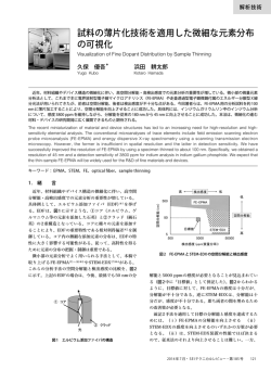 試料の薄片化技術を適用した微細な元素分布 の可視化